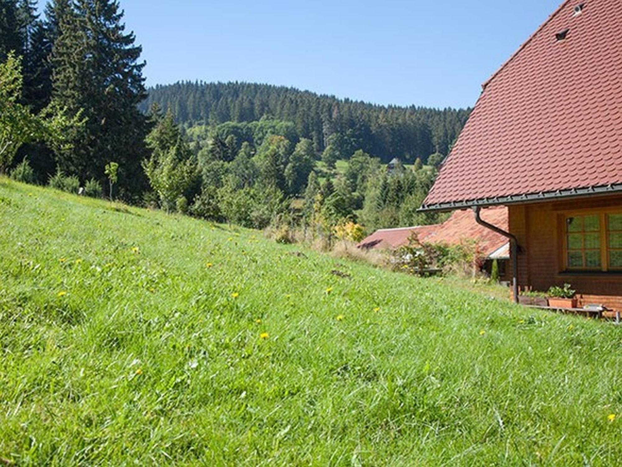 Ferienhaus Esche ฮินเทอร์ซาร์เทน ภายนอก รูปภาพ