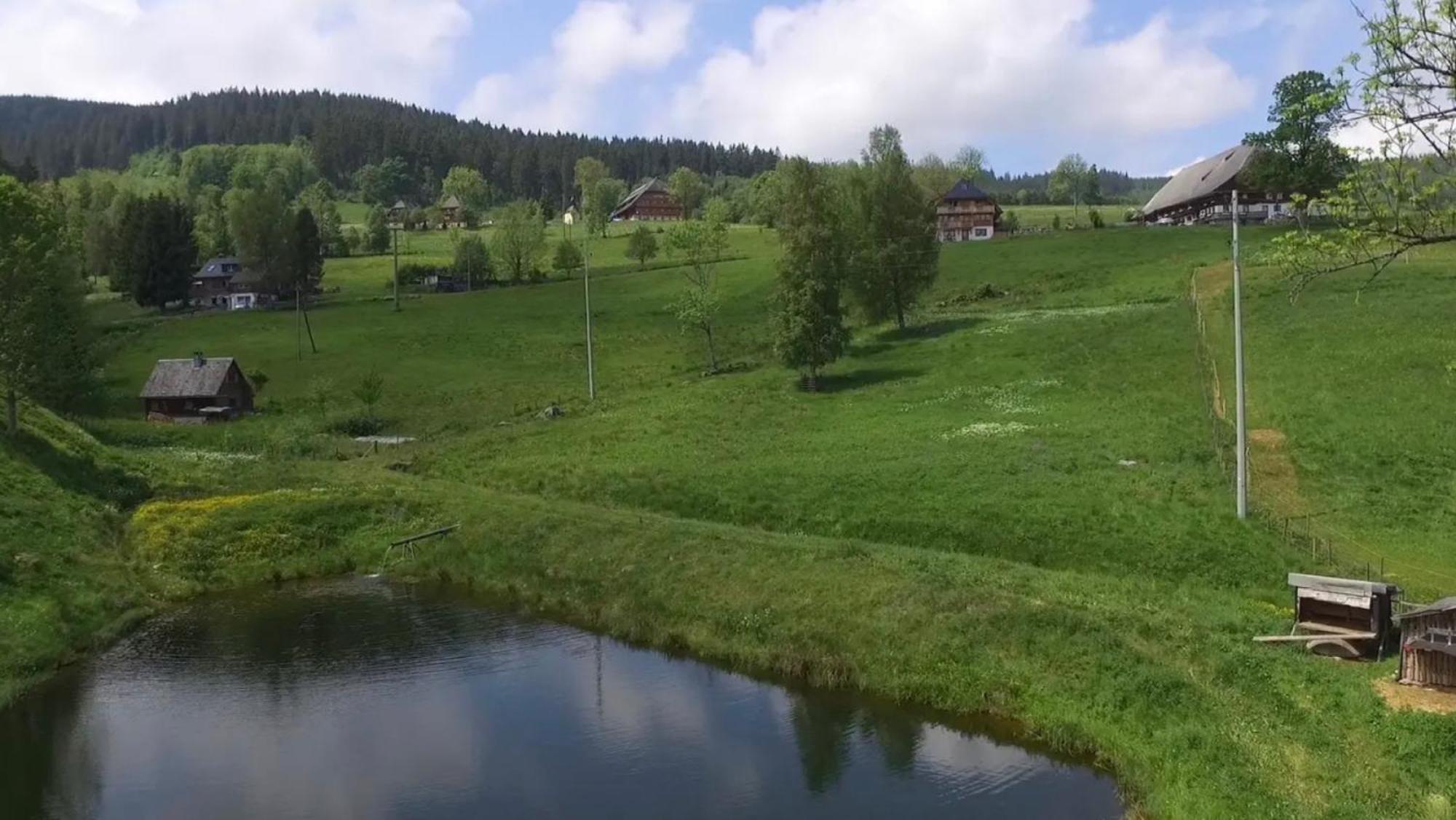 Ferienhaus Esche ฮินเทอร์ซาร์เทน ภายนอก รูปภาพ
