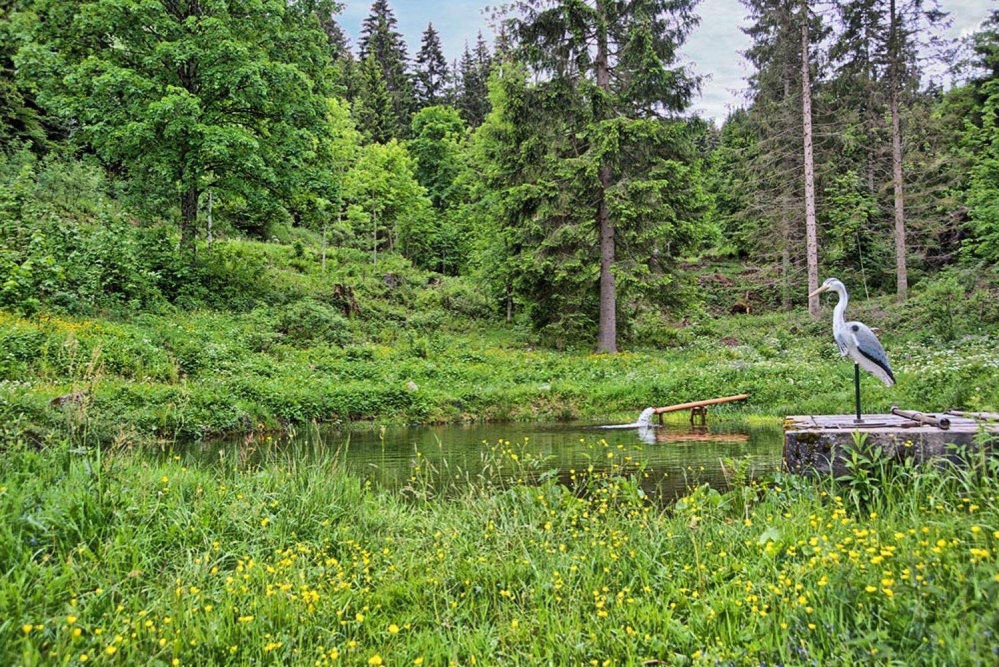 Ferienhaus Esche ฮินเทอร์ซาร์เทน ภายนอก รูปภาพ