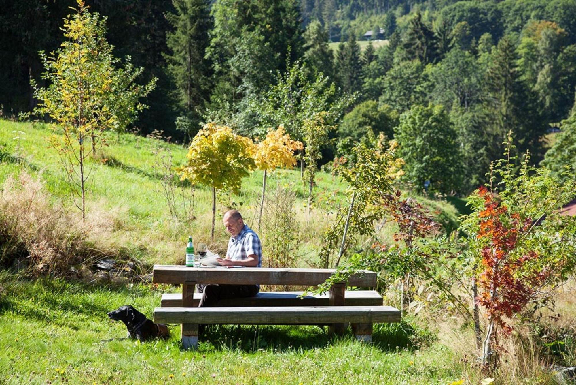Ferienhaus Esche ฮินเทอร์ซาร์เทน ภายนอก รูปภาพ