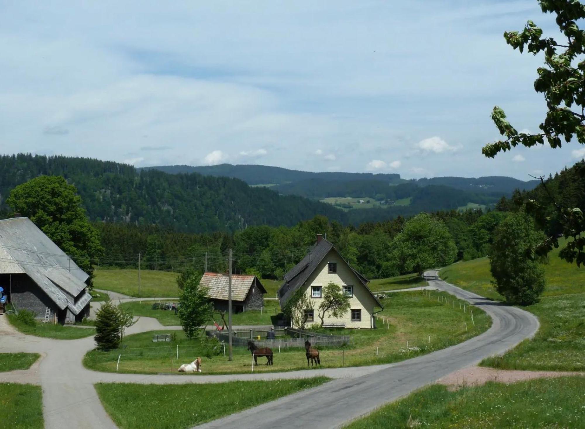 Ferienhaus Esche ฮินเทอร์ซาร์เทน ภายนอก รูปภาพ